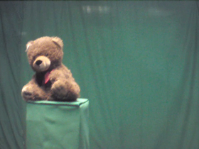 180 Degrees _ Picture 9 _ Brown Teddy Bear Wearing Red Ribbon.png